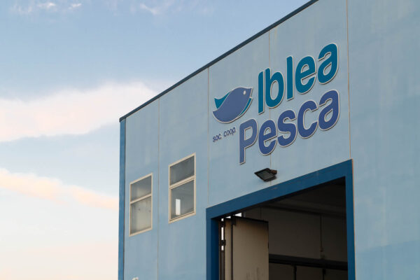 IBLEA PESCA-113 IBLEA PESCA-113
